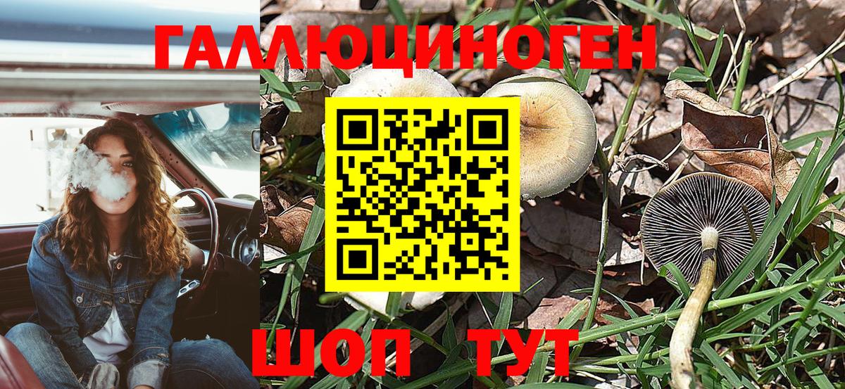 Галлюциногенные грибы Cubensis Ковров