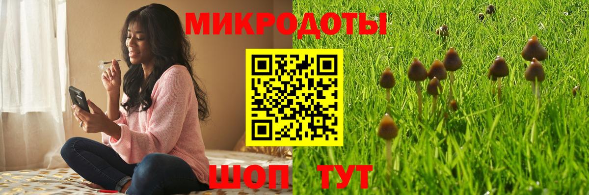 Галлюциногенные грибы ЛСД  Вход с VPN  Галлюциногенные грибы мицелий  Ковров 